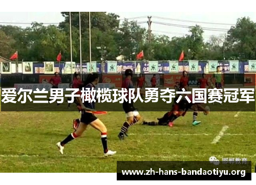 爱尔兰男子橄榄球队勇夺六国赛冠军 爱尔兰男子橄榄球队勇夺六国赛冠军