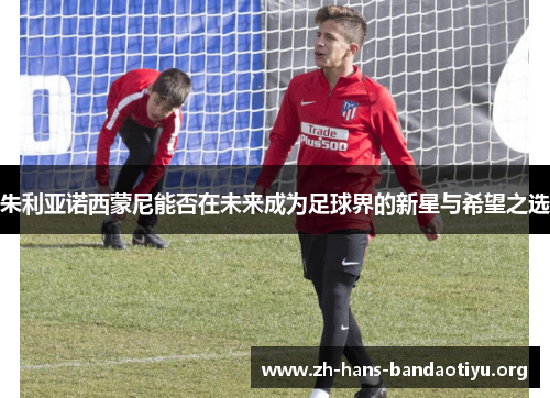 朱利亚诺西蒙尼能否在未来成为足球界的新星与希望之选 朱利亚诺西蒙尼能否在未来成为足球界的新星与希望之选