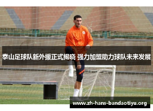 泰山足球队新外援正式揭晓 强力加盟助力球队未来发展 泰山足球队新外援正式揭晓 强力加盟助力球队未来发展
