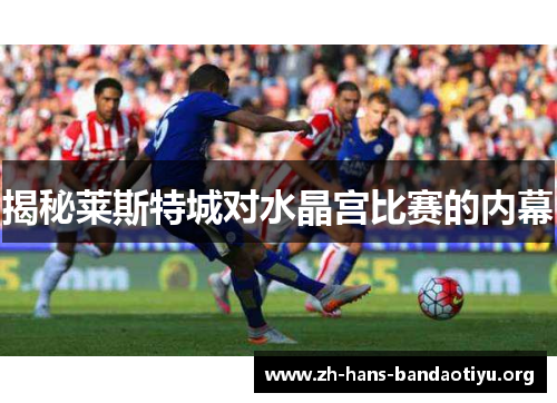 揭秘莱斯特城对水晶宫比赛的内幕