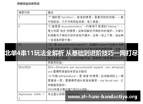北单4串11玩法全解析 从基础到进阶技巧一网打尽 北单4串11玩法全解析 从基础到进阶技巧一网打尽